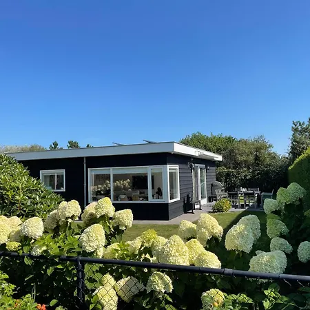 Wintergroen 11 Julianadorp